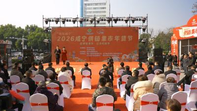 V视 | 供销集市年味浓 咸安特色农产品圈粉无数