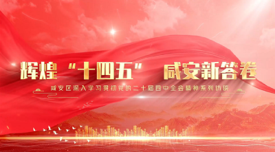 《辉煌“十四五” 咸安新答卷》系列访谈栏目⑨——城乡发展篇（贺胜桥镇）