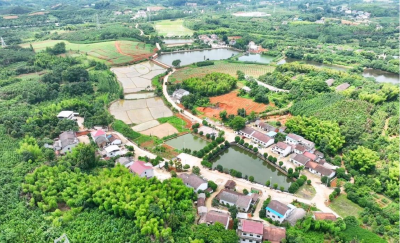 咸宁咸安：党建引领聚合力 乡村振兴谱新篇