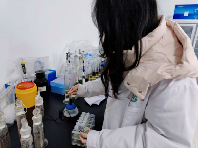 2026 大学生返乡实践：在检验检测一线淬炼成长