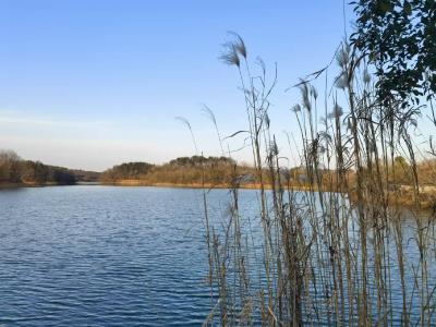 吻别着昨日的阳光