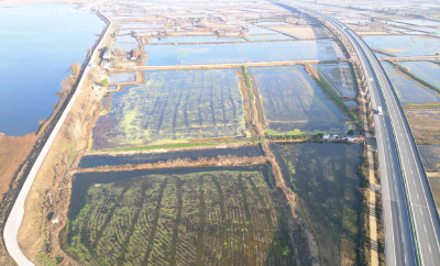 咸安区向阳湖镇：稻虾鸭共舞 铺就田园致富路