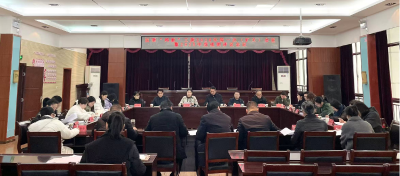   咸安区顺利召开2025年度新兴领域党建工作述职评议会