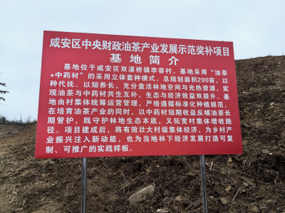 人勤春来早，荒山变成宝