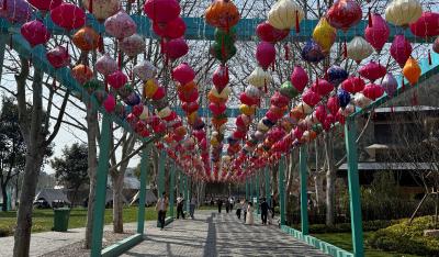 奇洞焕新趣满园　太乙天沐度假区新春游玩人气旺