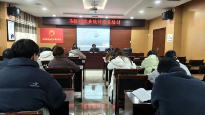 马桥镇开展农业统计业务培训 夯实数据根基助发展