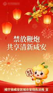 遵守禁鞭规定，安度祥和春节