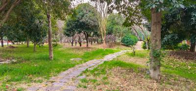 落梅铺锦迎新岁  芳草吐绿启新程——向阳湖镇节后首日尽显奋进新气象