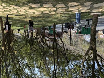 【新春走基层】奇洞焕新趣满园 太乙天沐度假区新春游玩人气旺