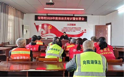 宝塔村：党建引领聚合力  长效治理净家园