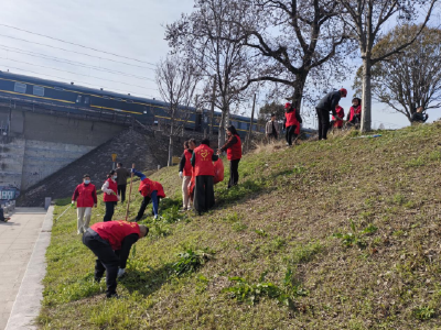 双龙社区：清洁家园展新颜 文明实践树新风