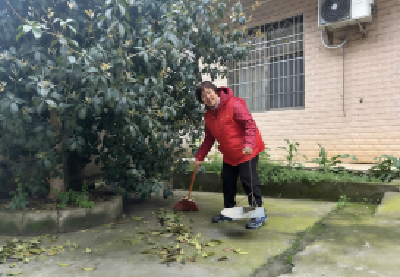 向阳湖镇：从“扫地人”到“大管家” 