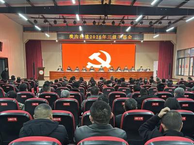 敢为人先 务实重行 横沟桥镇召开2026年三级干部会议