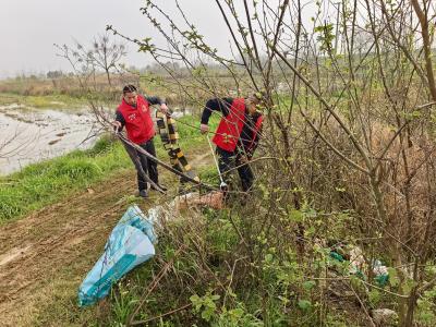 清洁家园进田头 高标准农田“靓”起来