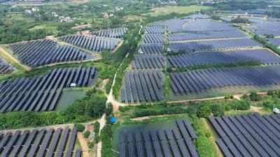 向阳湖镇：党建“执笔”绘就兴村富民新画卷