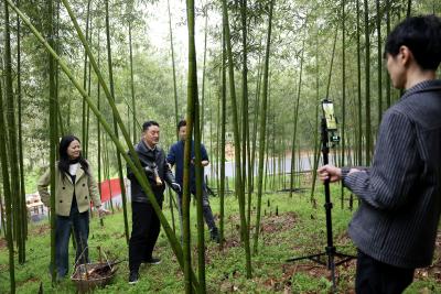 田间地头开直播 咸安供销社携手崇阳工商联为雷竹笋“溯源”带货