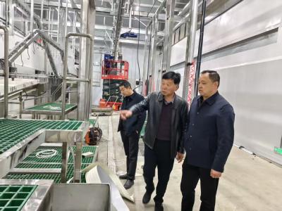 向阳湖镇：聚焦特色促产业 精准招商谋发展