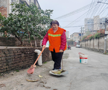 向阳湖镇：默默奉献的“夕阳红”