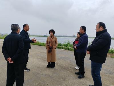 向阳湖镇：聚智