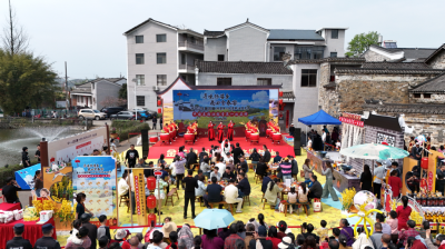 咸安：春“油”好戏！美食+赶集+打卡一站式解锁，赴一场春日乡野之约