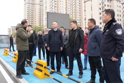 咸安区调研督导校园安全防范和未成年人保护工作