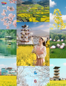 咸安拍了拍你：10+春日特色活动上线，最全攻略请收藏～