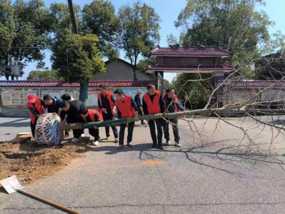 春风栽银杏，金叶待秋来——向阳湖镇斩关村村委会开展庭院植树活动