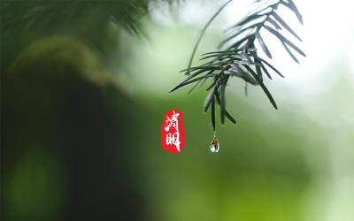 静静地，你们躺在这里——写在汀泗桥北伐先烈墓前