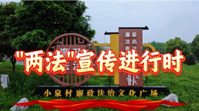 “两法”宣传｜咸安区官埠桥镇小泉村：当好家管好村——这部法律咱得懂