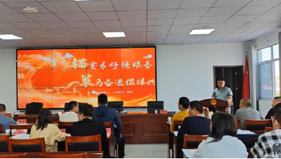 擂台比武亮实绩 头雁竞飞促振兴  —向阳湖镇举行“五好”党支部擂台比武
