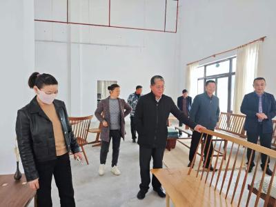 贺胜桥镇开展“聚力支点建设·助力打造重点乡镇”代表行动