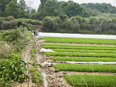 人勤春来早，农时忙春耕——双溪桥镇有序推进春耕生产工作