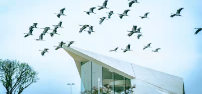  城铁公交化！坐高铁逛贺胜，鸡汤管够、风景管美