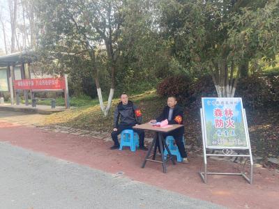 “人防+机防+技防”，咸安森林防火织就“天地人”一张网