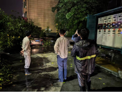 温泉街道黄畈社区：树木倾倒挡路 社区紧急排险