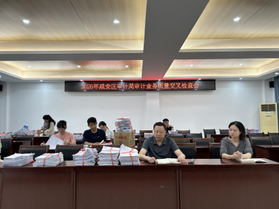 区审计局：深耕“科学规范提升年”筑牢审计质量生命线