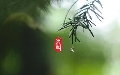 ​念梁兄