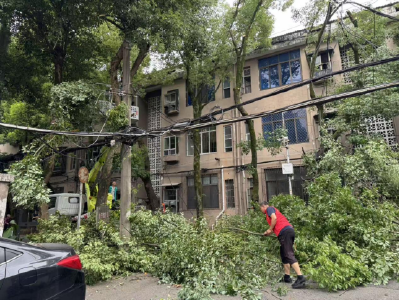 温泉街道滨河社区：修剪杂乱树枝 优化人居环境