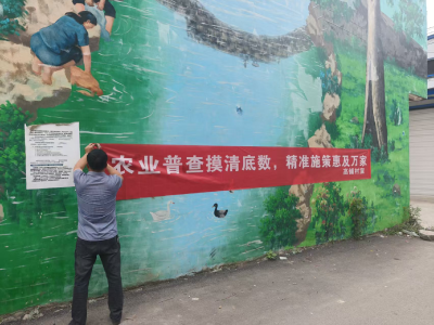 双溪桥镇召开四农普推进会：强调数据质量生命线，掀起宣传发动新高潮