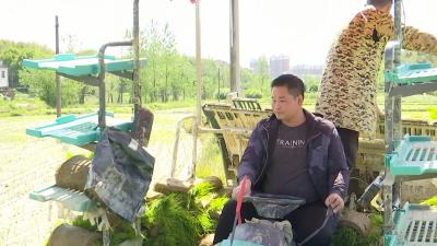 供销赋能全链条服务 永宏合作社打造现代农业样板