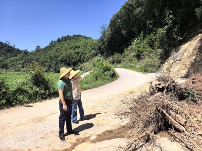 咸安区医保局下沉高桥镇石溪村开展防汛减灾工作