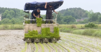 润田合作社：“规范化”种出好“钱”景