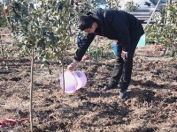 植树，添绿，曾都区700余名干部义务植树