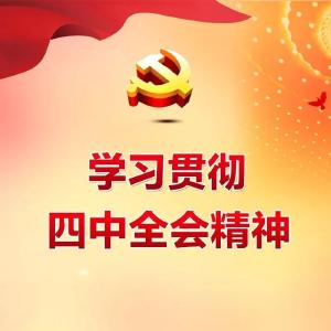 曾都区深入学习贯彻四中全会精神