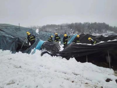 下雪了！曾都区各地各部门积极保畅通、保生产……