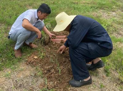 安全生产 | 曾都区水利和湖泊局确保水利工程安全度汛