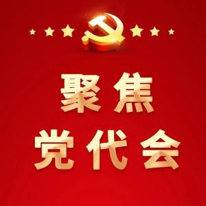 党代表风采 | 汪涛：能人回乡促振兴