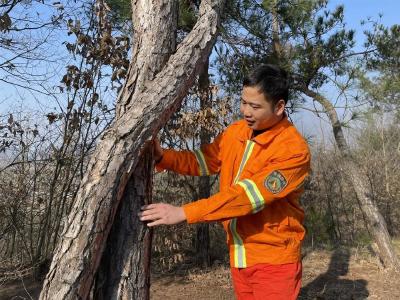 新年走基层丨徒步巡山护林海