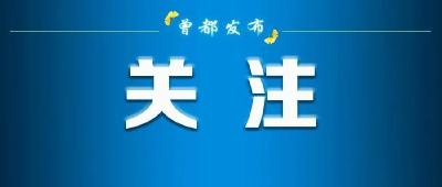 曾都古银杏国家级森林公园申报材料顺利通过省级评审