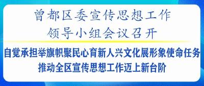 曾都区委宣传思想工作领导小组会议召开